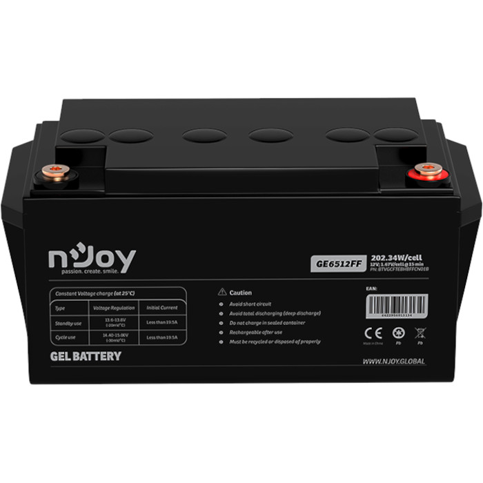 Аккумуляторная батарея NJOY GE6512FF (12В, 65Ач) (BTVGCFTEBHBFFCN01B)