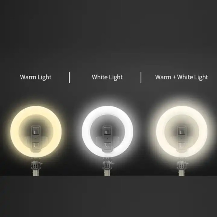 Кільцева LED лампа PULUZ EDA005489 5"+ Tripod