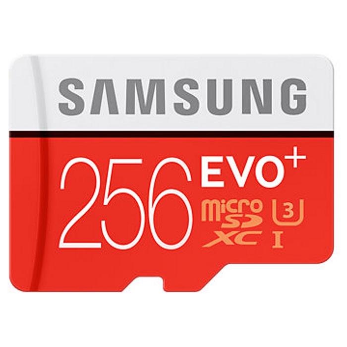Карта пам'яті SAMSUNG microSDXC EVO Plus 256GB UHS-I U3 Class 10 + SD-adapter (MB-MC256DA/RU)