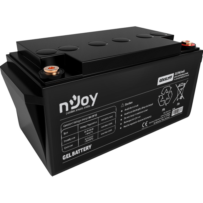 Аккумуляторная батарея NJOY GE6512FF (12В, 65Ач) (BTVGCFTEBACFFCW01B)