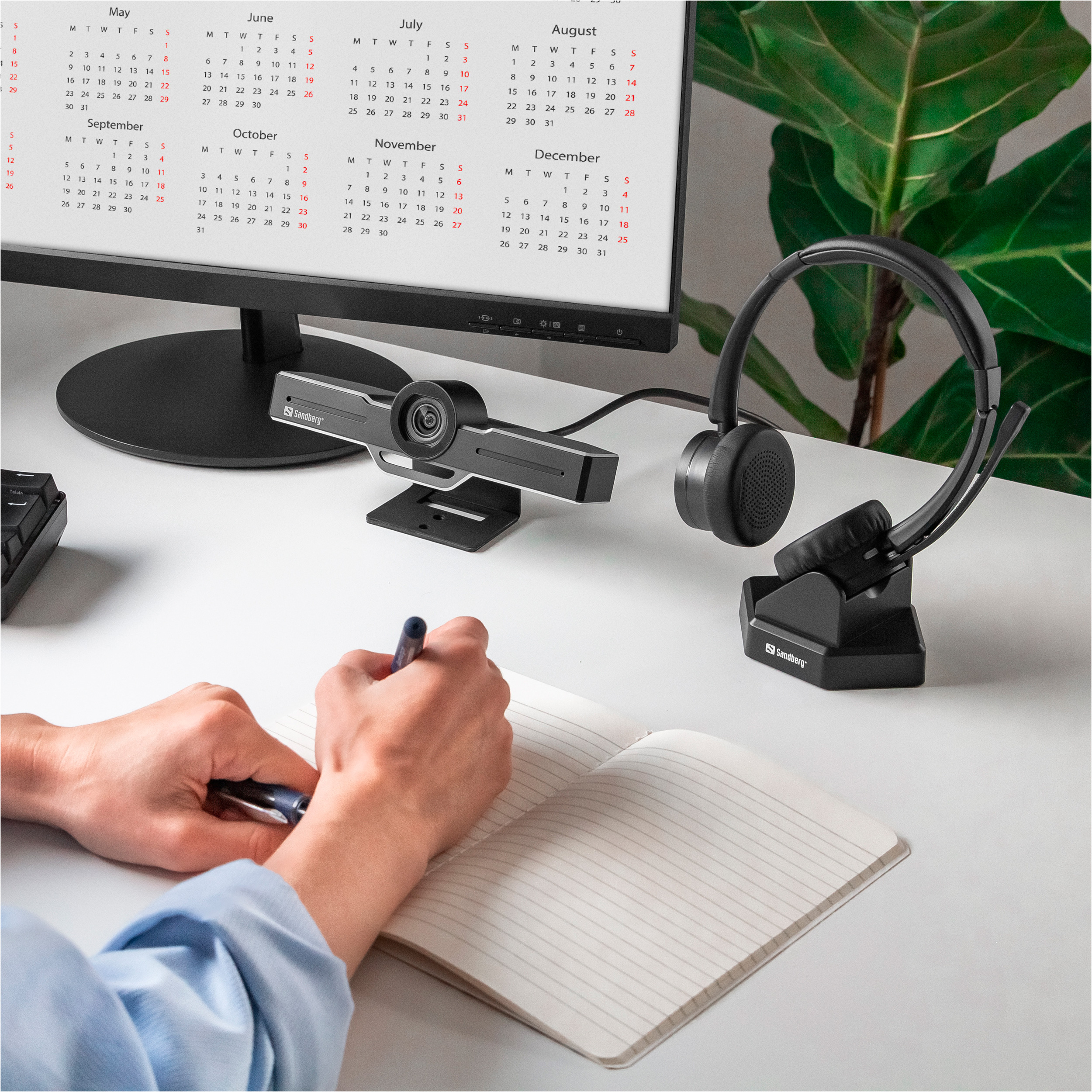 Наушники SANDBERG Wireless Office Headset Pro+ (126-18)