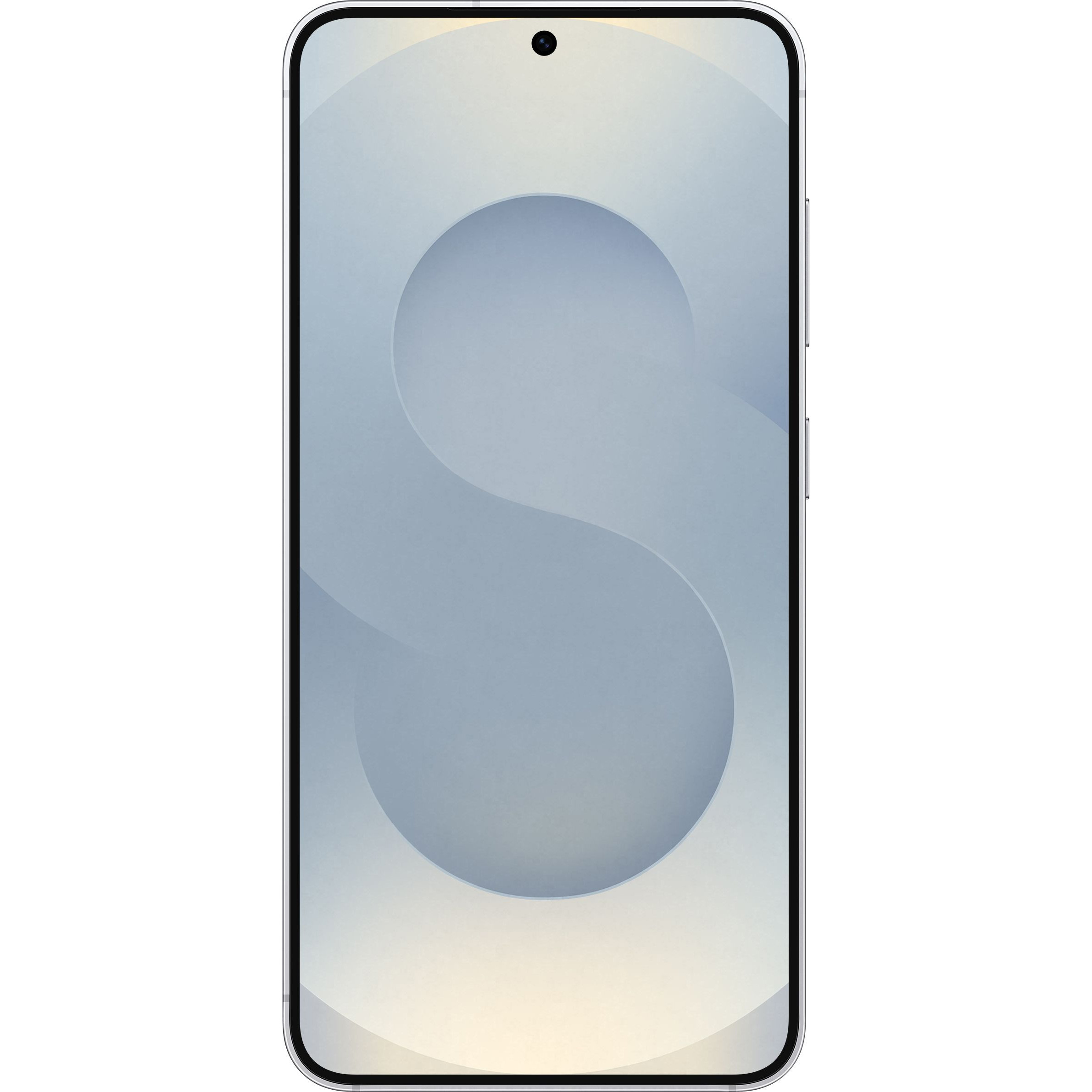 Смартфон SAMSUNG Galaxy S25 12/256GB Silver Shadow (SM-S931BZSGEUC)