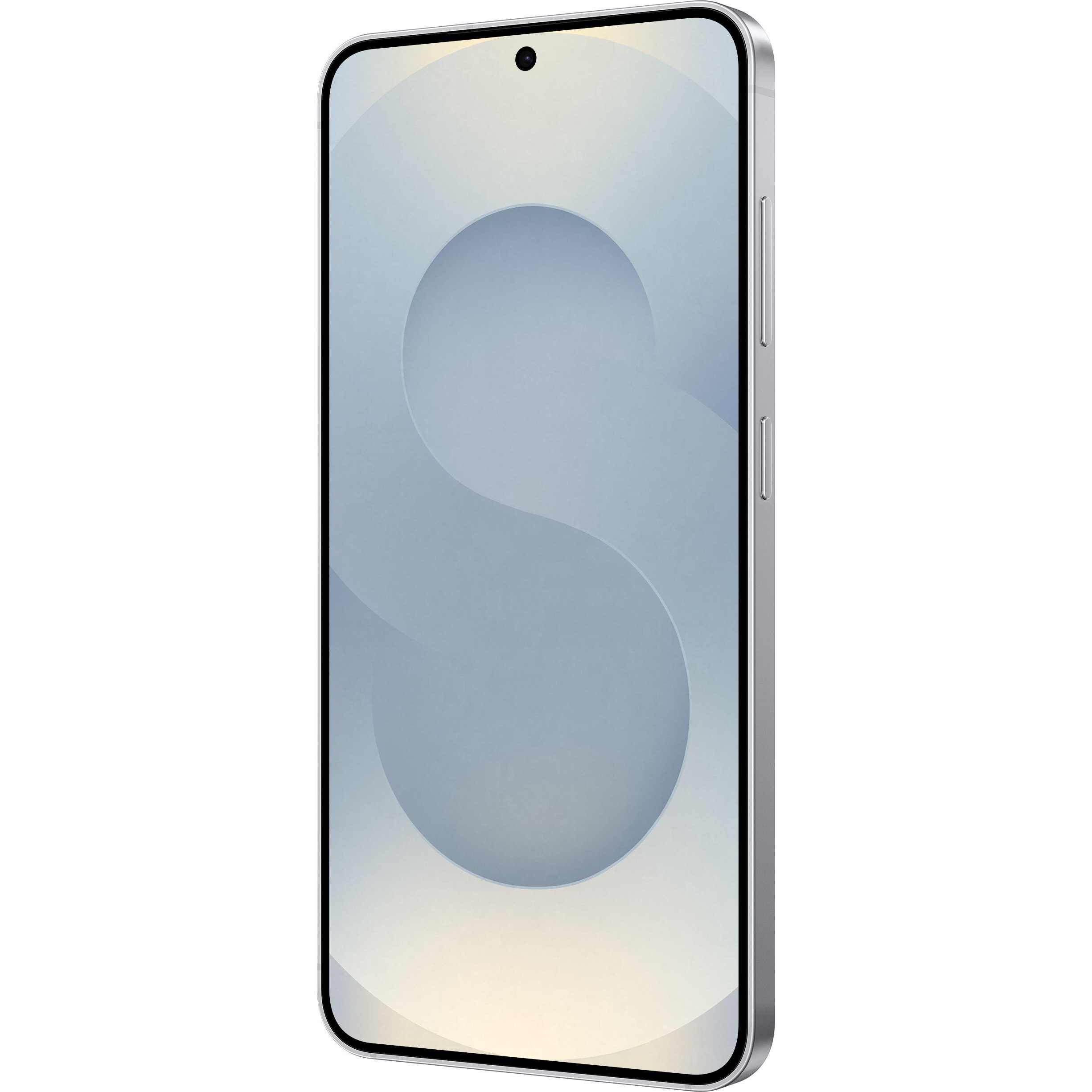 Смартфон SAMSUNG Galaxy S25 12/256GB Silver Shadow (SM-S931BZSGEUC)