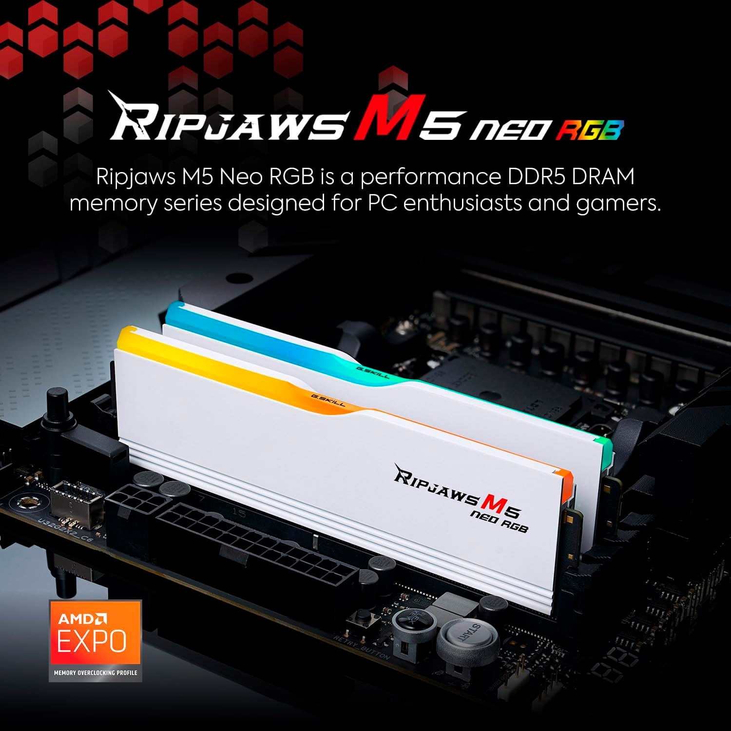 Модуль пам'яті G.SKILL Ripjaws M5 Neo RGB DDR5 6000MHz 96GB Kit 2x48GB Matte White (F5-6000J3036F48GX2-RM5NRW)