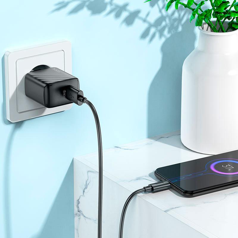 Зарядний пристрій HOCO CS21A Rich 1xUSB-A, QC3.0 Black w/Micro-USB cable (6942007609890)