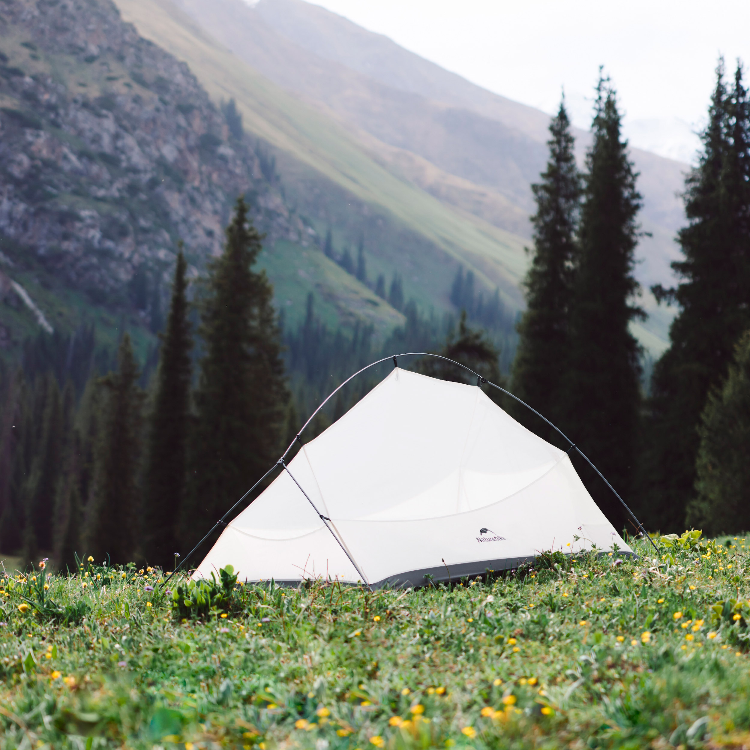 Намет 2-місний NATUREHIKE CNK2350WS020 Cloud Up Pro Light Gray (6927595777008)
