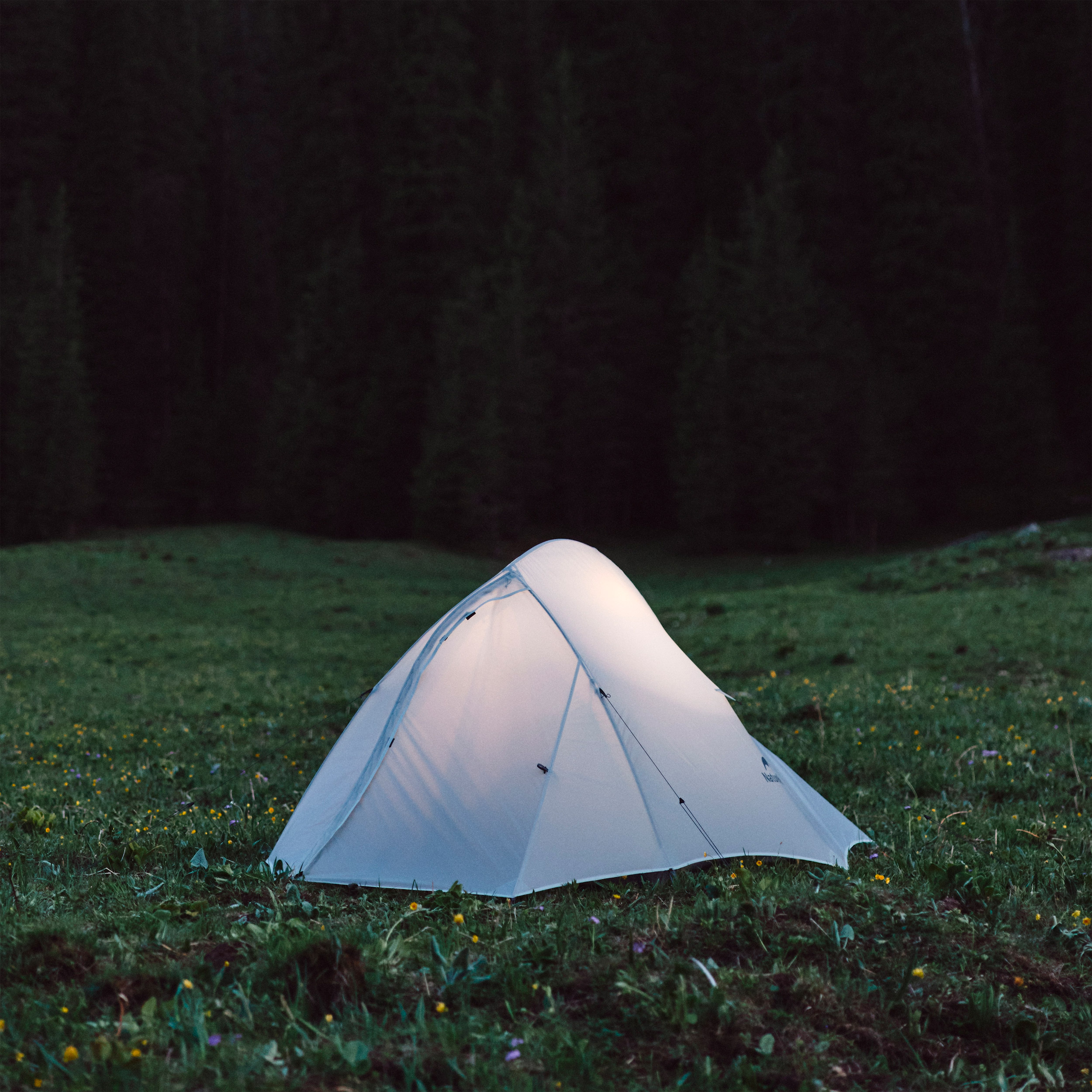 Намет 2-місний NATUREHIKE CNK2350WS020 Cloud Up Pro Light Gray (6927595777008)