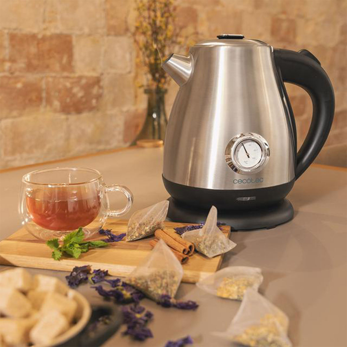 Электрочайник CECOTEC Thermosense 620 Retro Steel (CCTC-01458)