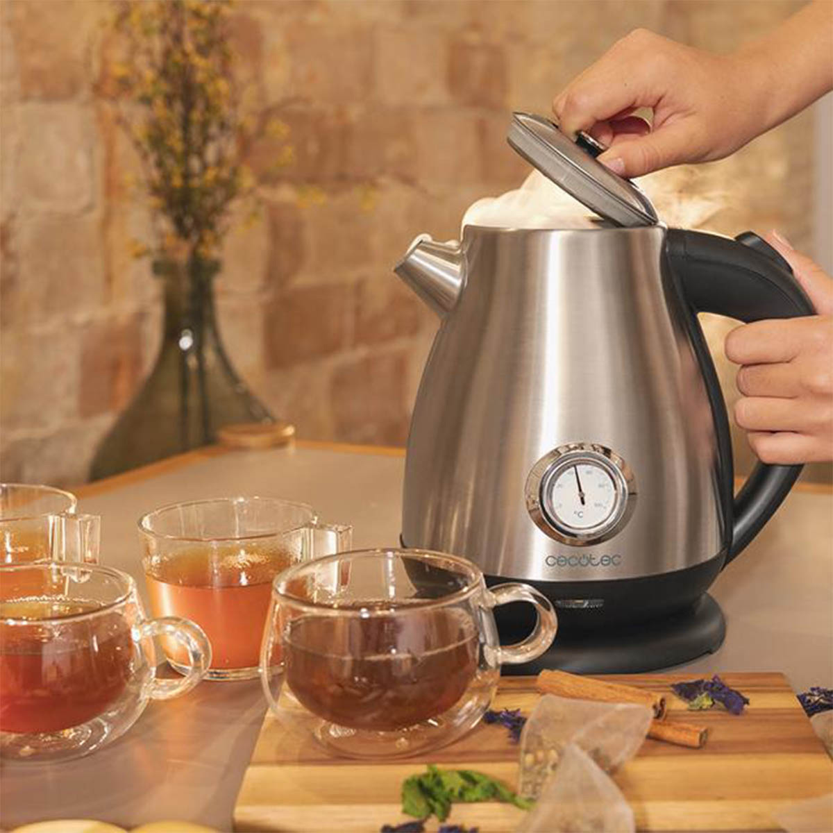 Электрочайник CECOTEC Thermosense 620 Retro Steel (CCTC-01458)
