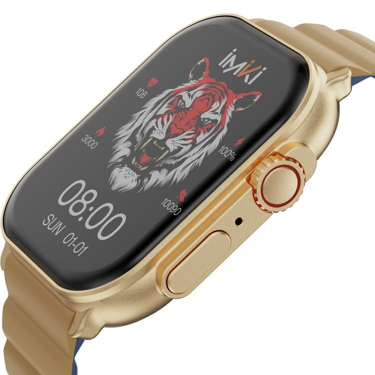 Смарт-годинник iMiLab IMIKI SF1 Gold with Magnetic Strap