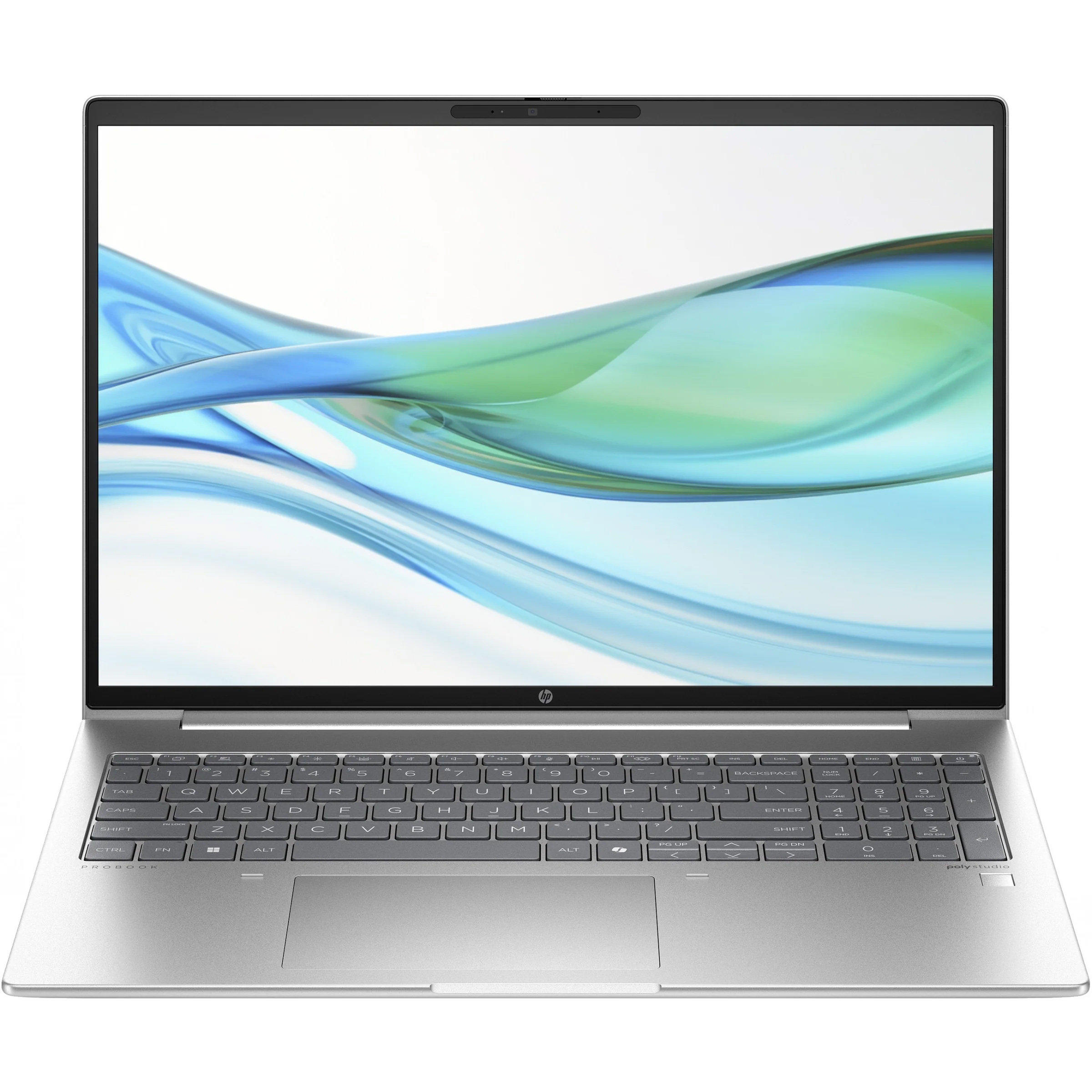 Ноутбук HP ProBook 460 G11 Pike Silver (AD1X2ET)