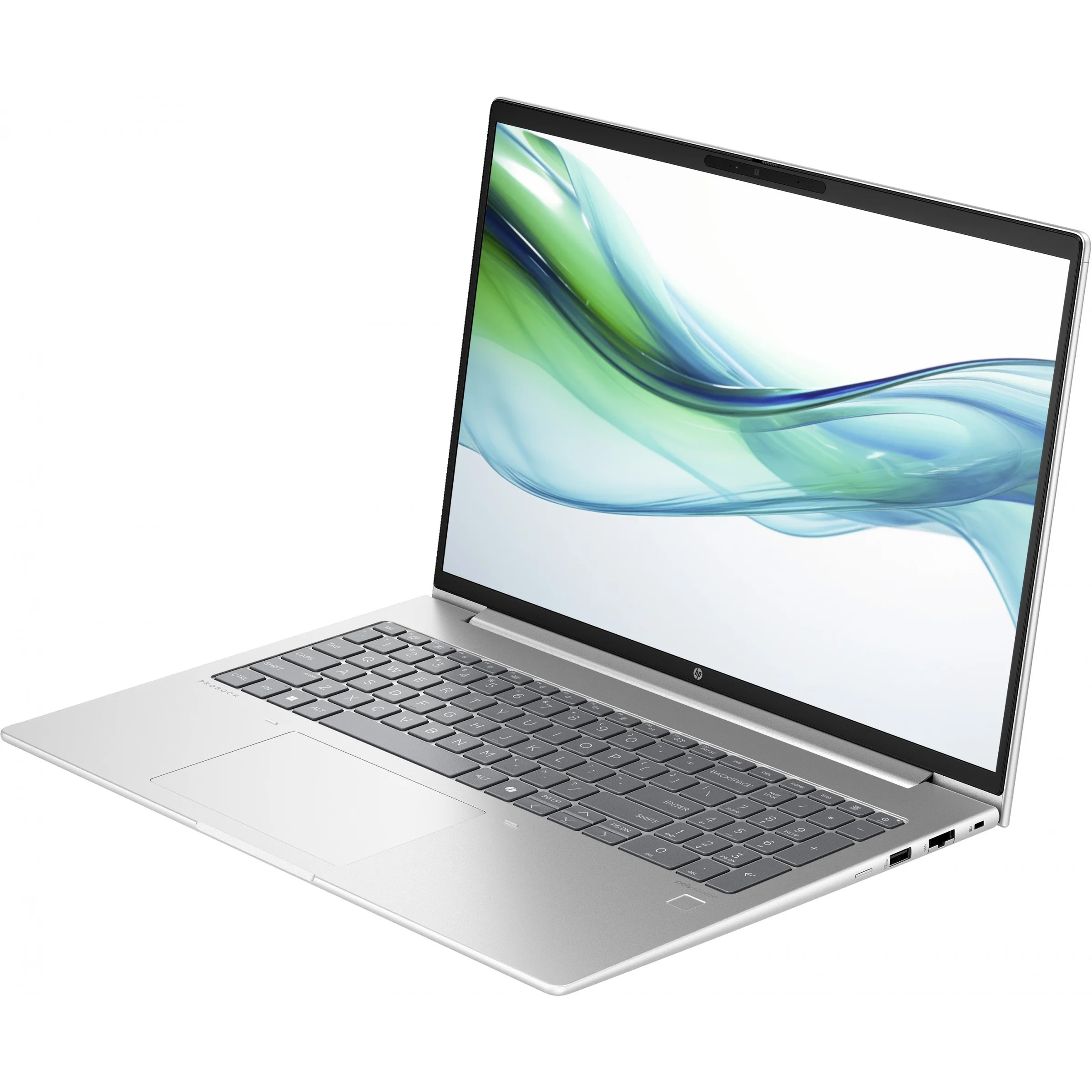 Ноутбук HP ProBook 460 G11 Pike Silver (AD1X2ET)