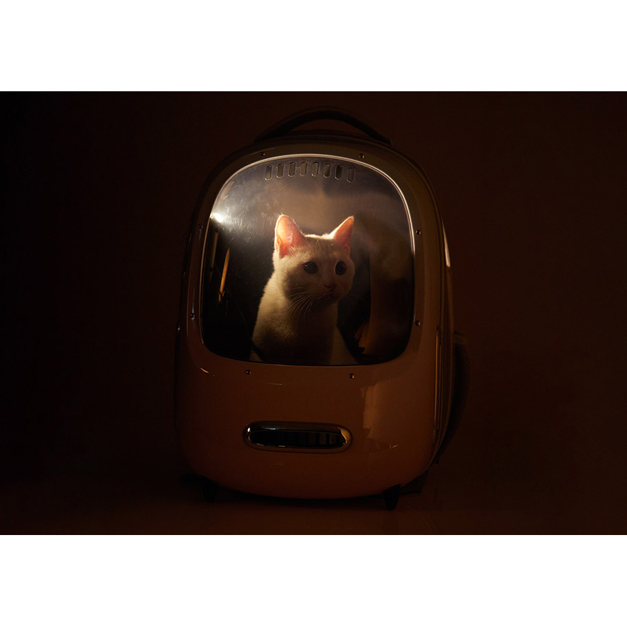 Рюкзак-переноска PETKIT Breezy 2 Smart Cat Carrier Pink (P7704-P)