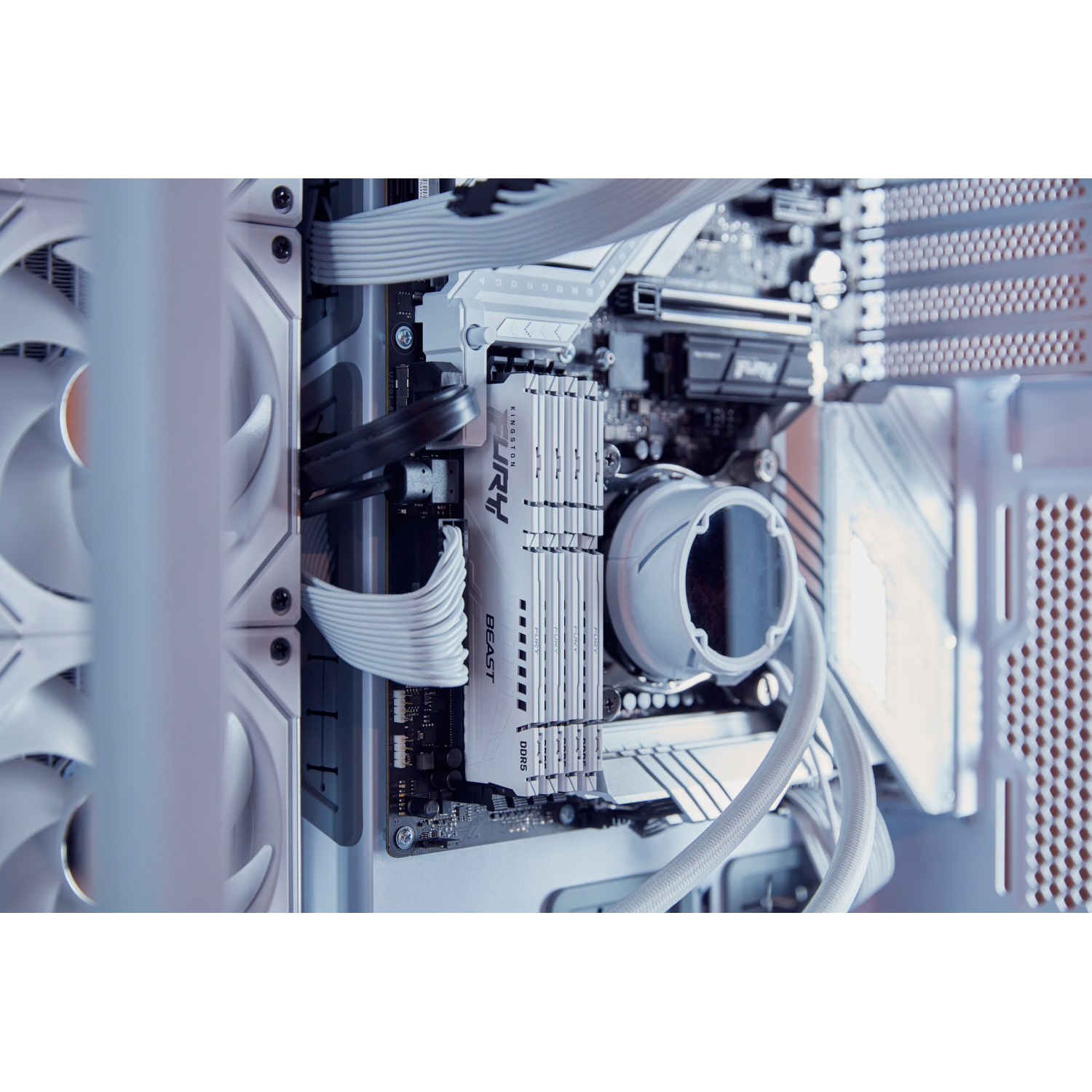 Модуль пам'яті KINGSTON FURY Beast DDR5 EXPO DDR5 6000MHz 16GB White (KF560C36BWE2-16)