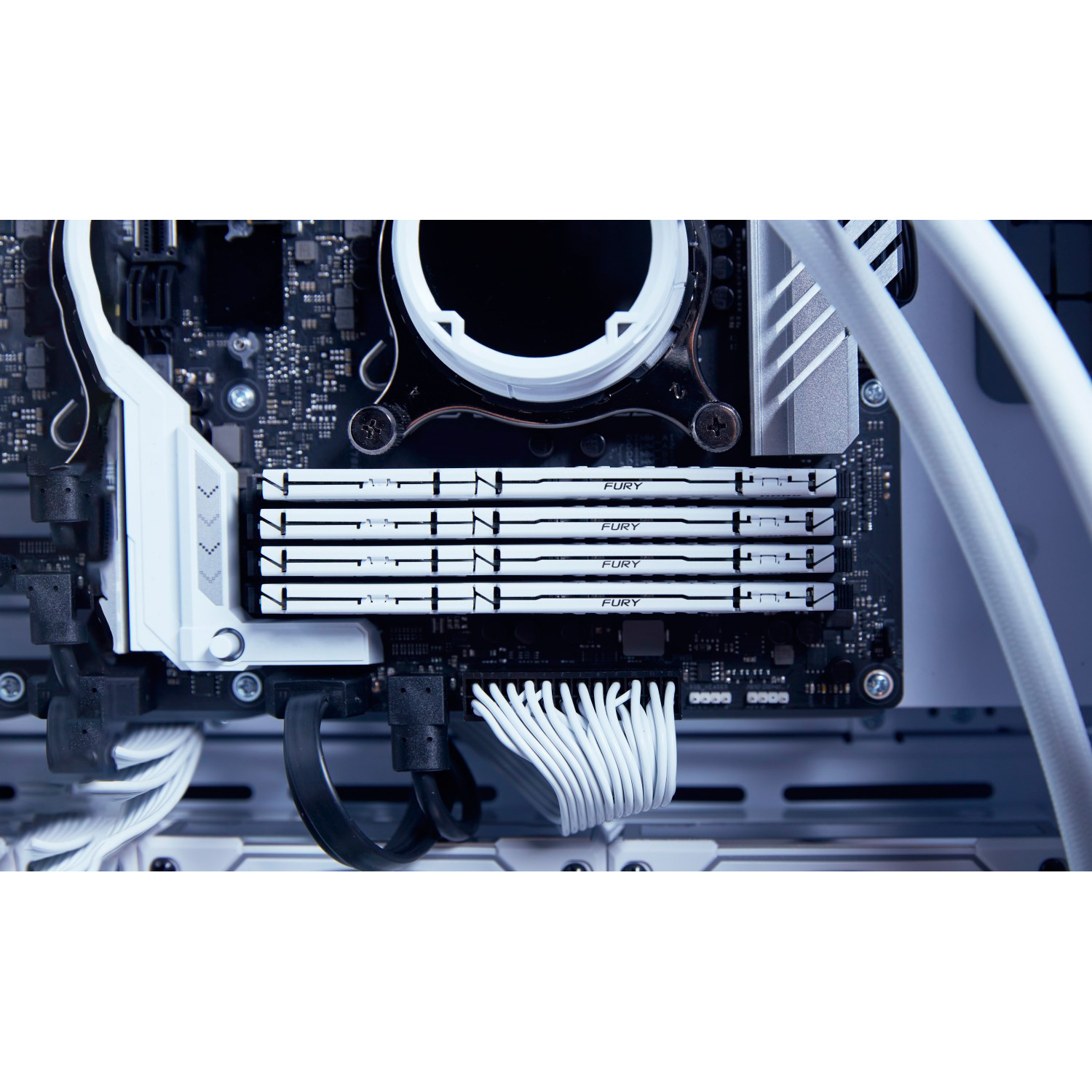 Модуль пам'яті KINGSTON FURY Beast DDR5 EXPO DDR5 6000MHz 16GB White (KF560C36BWE2-16)