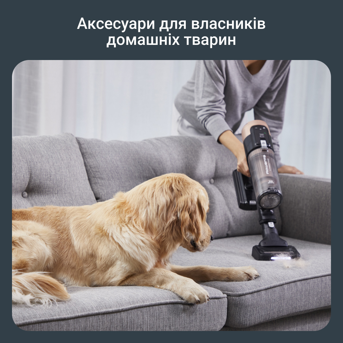 Пилосос ROWENTA X-Force Flex 14.80 Auto Animal RH9B74WO