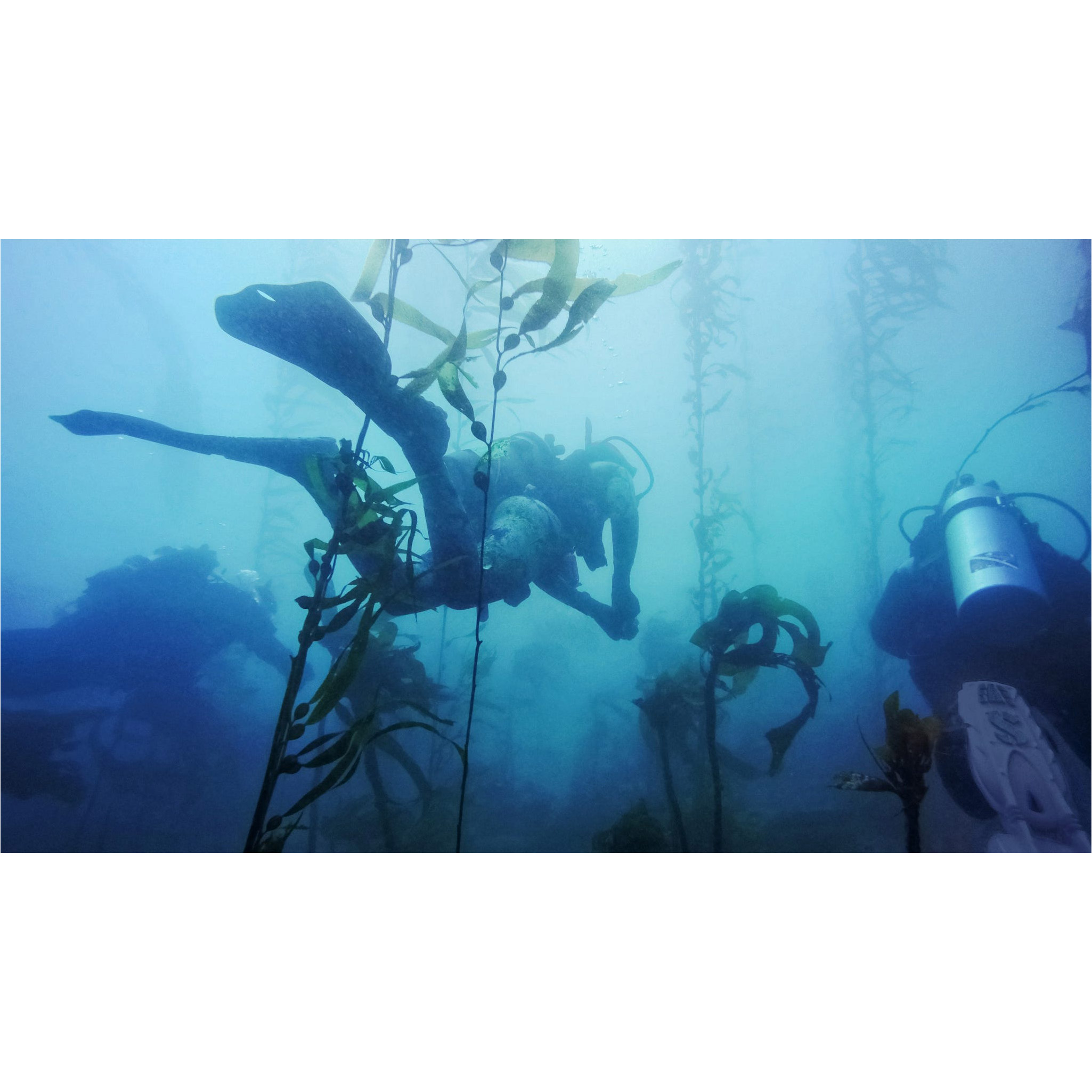 Підводний бокс GOPRO Dive Housing для HERO11 Black Mini (AFDIV-001)