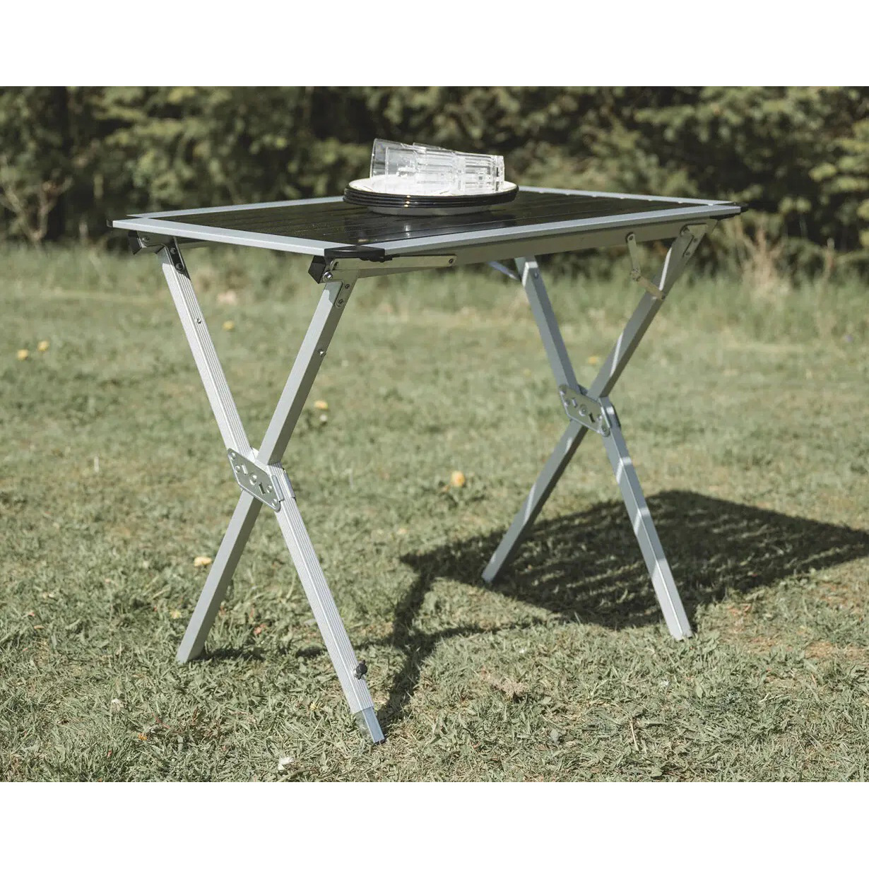 Кемпінговий стіл EASY CAMP Aspen M 60x80см (931583)