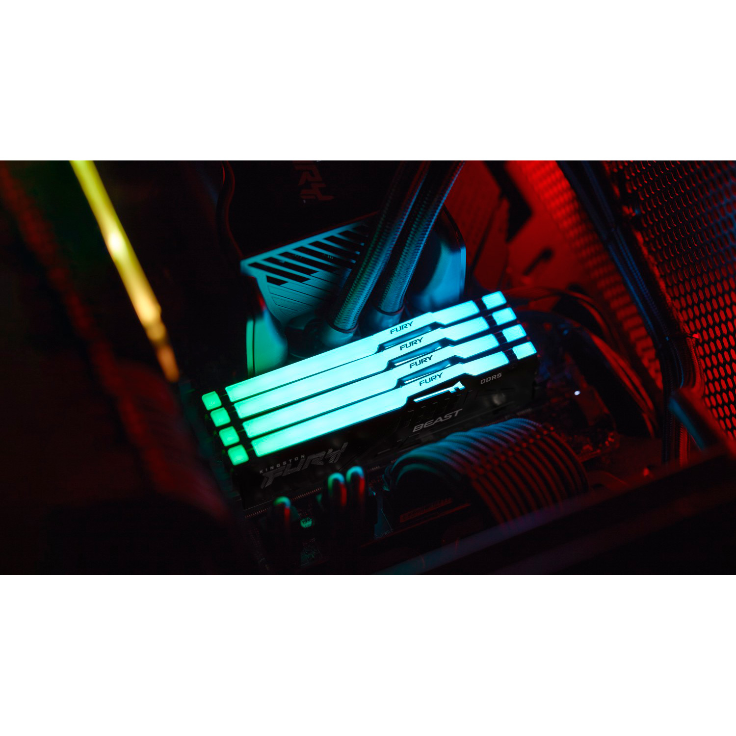 Модуль пам'яті KINGSTON FURY Beast RGB EXPO DDR5 5600MHz 64GB Black (KF556C40BBA-64)