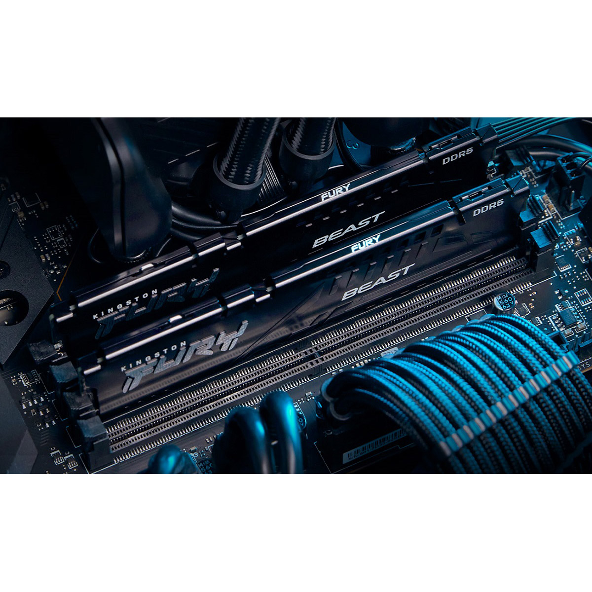 Модуль пам'яті KINGSTON FURY Beast DDR5 EXPO DDR5 5600MHz 64GB Kit 2x32GB Black (KF556C36BBE2K2-64)