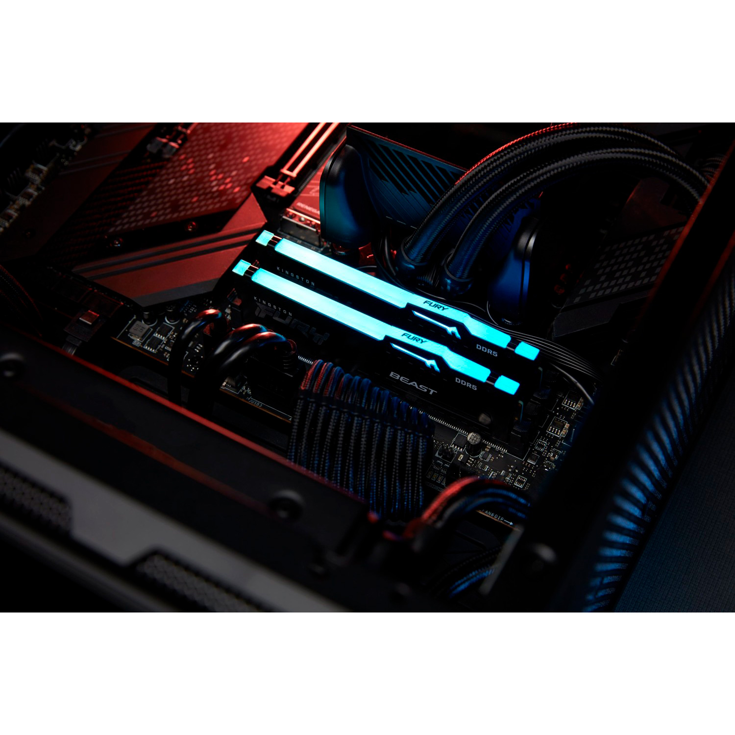 Модуль памяти KINGSTON FURY Beast RGB EXPO DDR5 6000MHz 32GB Black (KF560C36BBE2A-32)