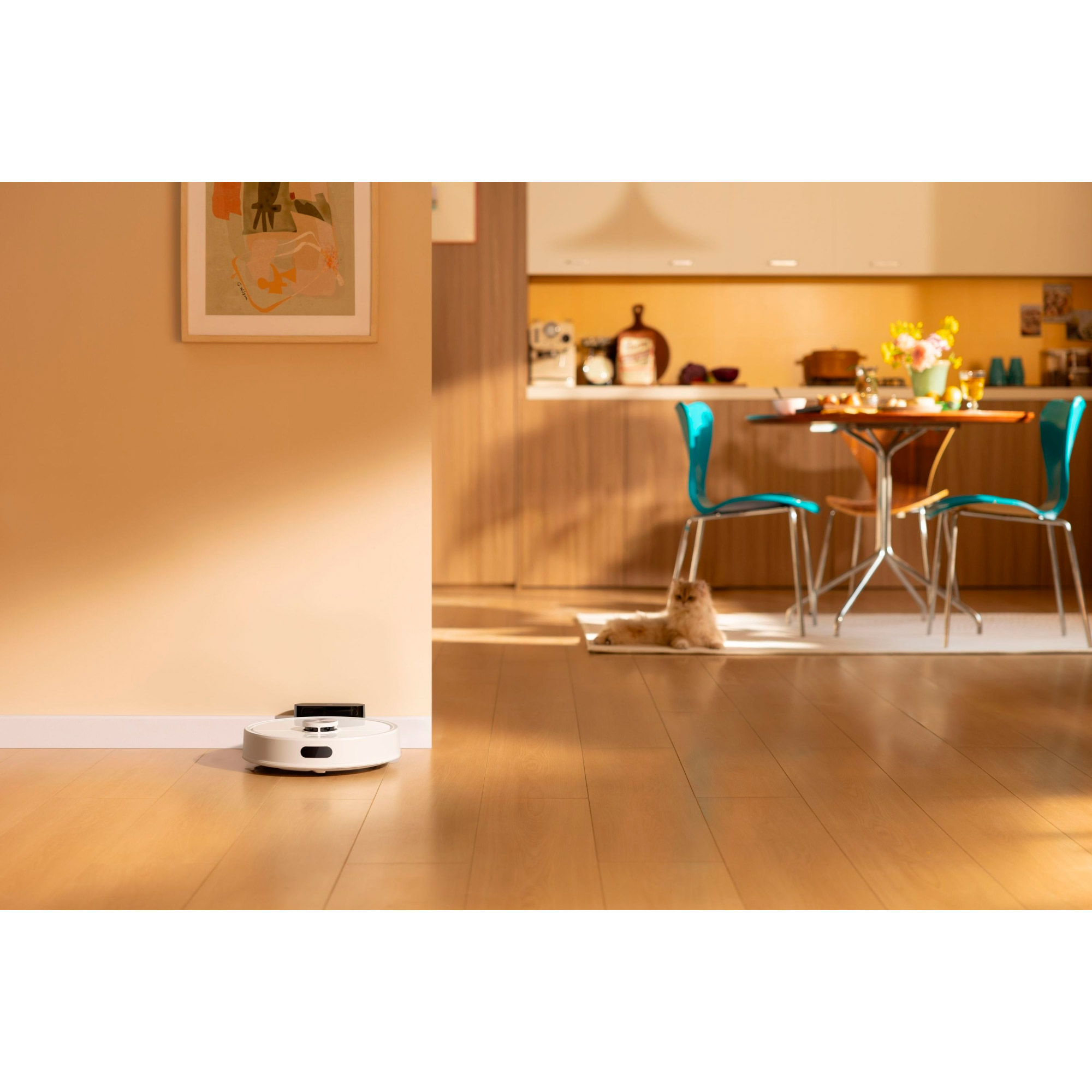 Робот-пилосос ROBOROCK Q7 TF White (Q7TF02-00)