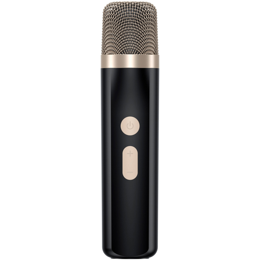 Акустическая система HAVIT HV-SK895BT Black