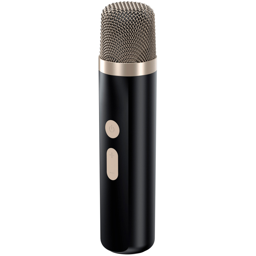 Акустическая система HAVIT HV-SK895BT Black