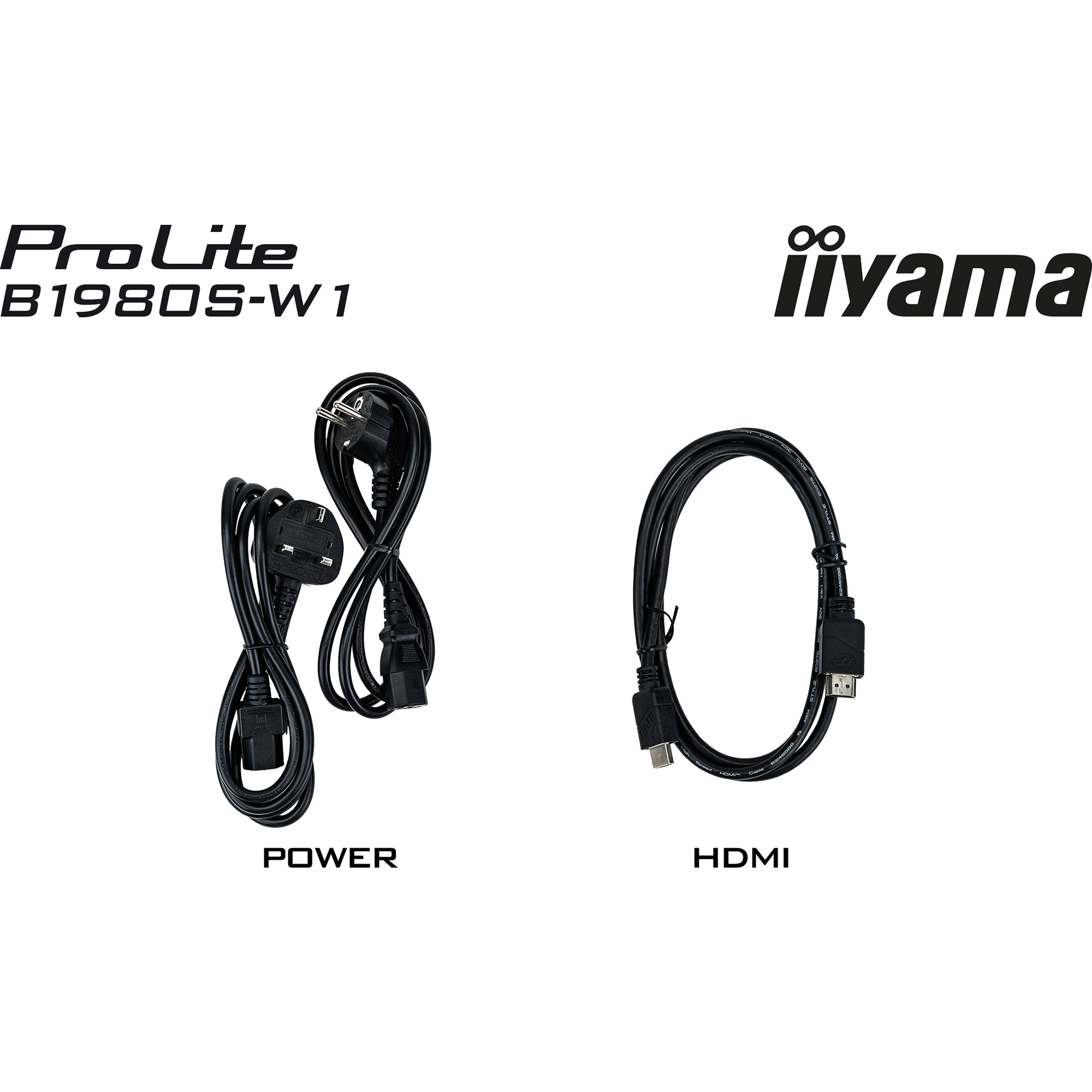 Монитор 19" IIYAMA ProLite B1980S-W1