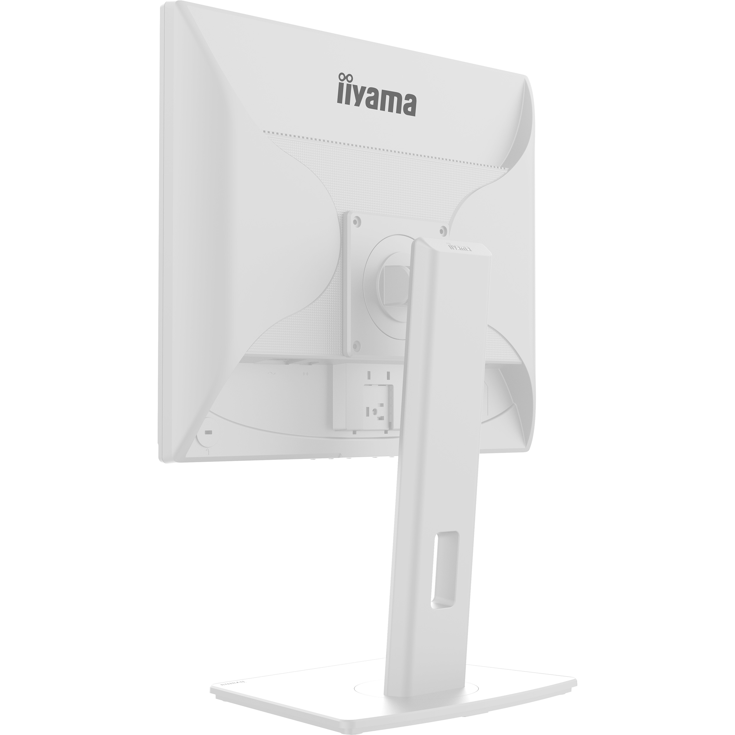 Монитор 19" IIYAMA ProLite B1980S-W1