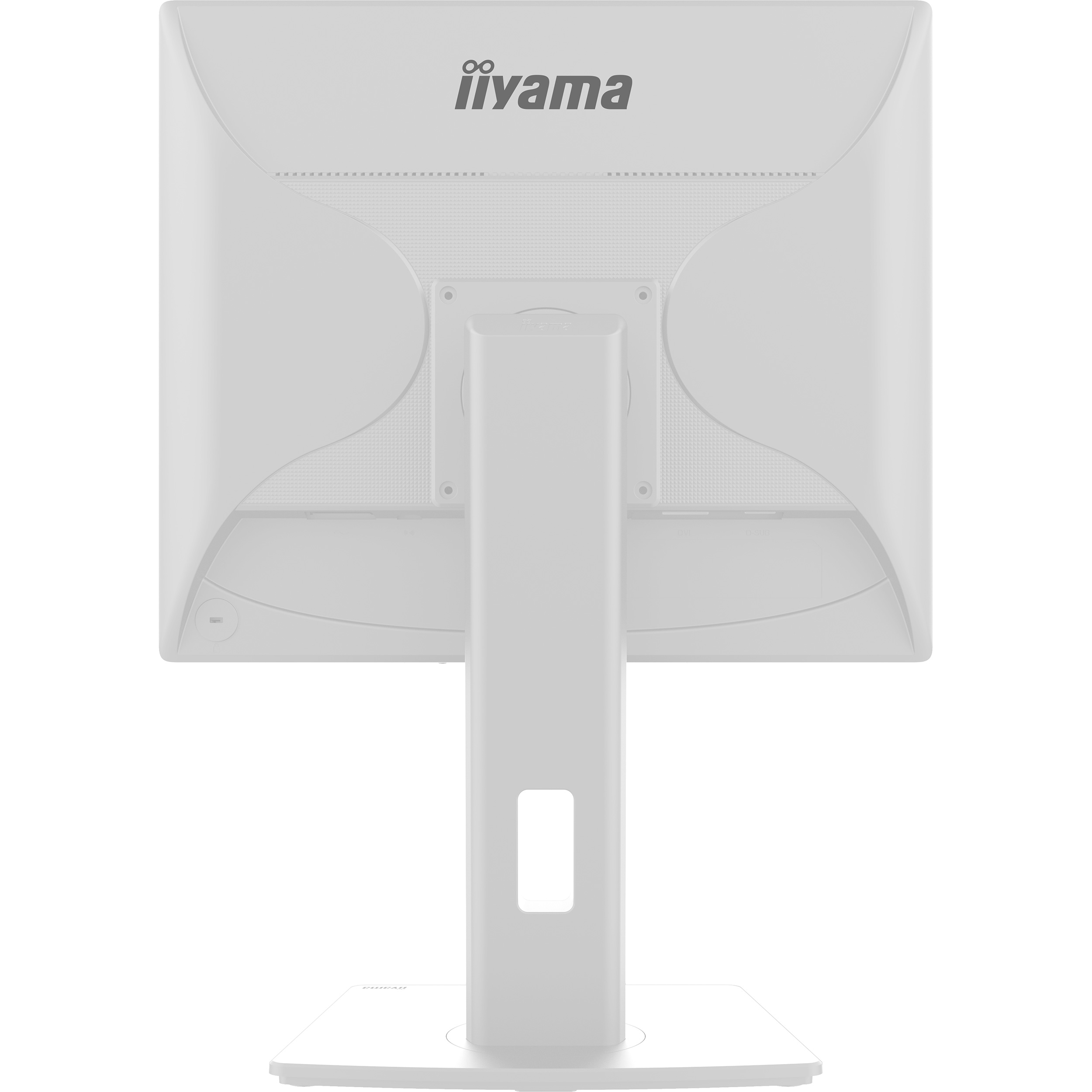 Монитор 19" IIYAMA ProLite B1980S-W1