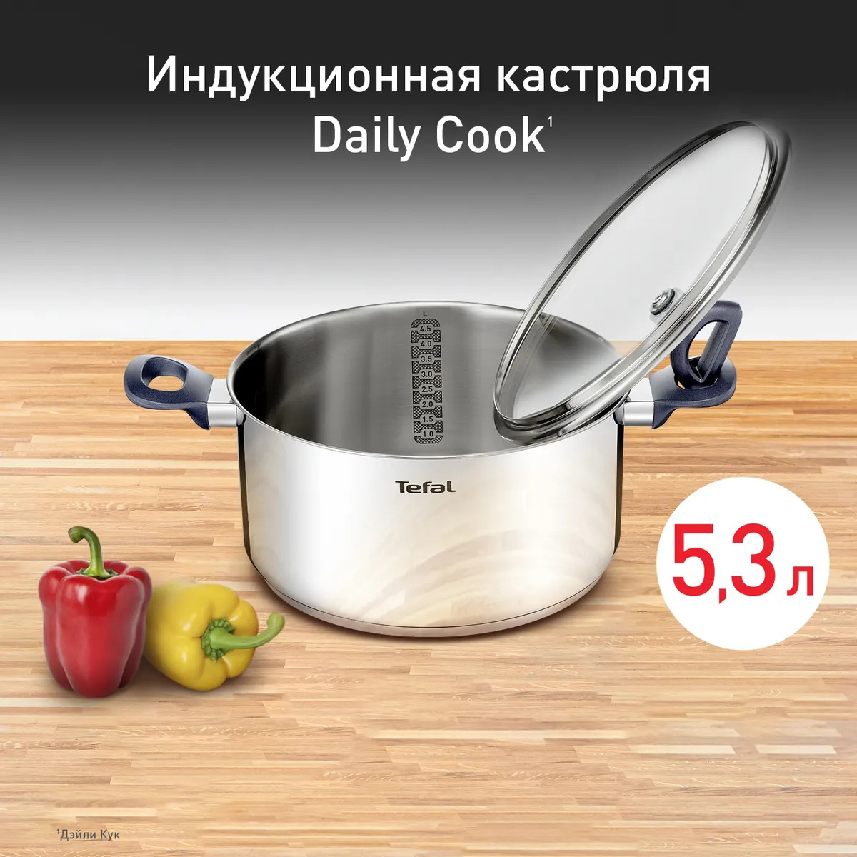 Каструля TEFAL Daily Cook 5.3л (G7124645)