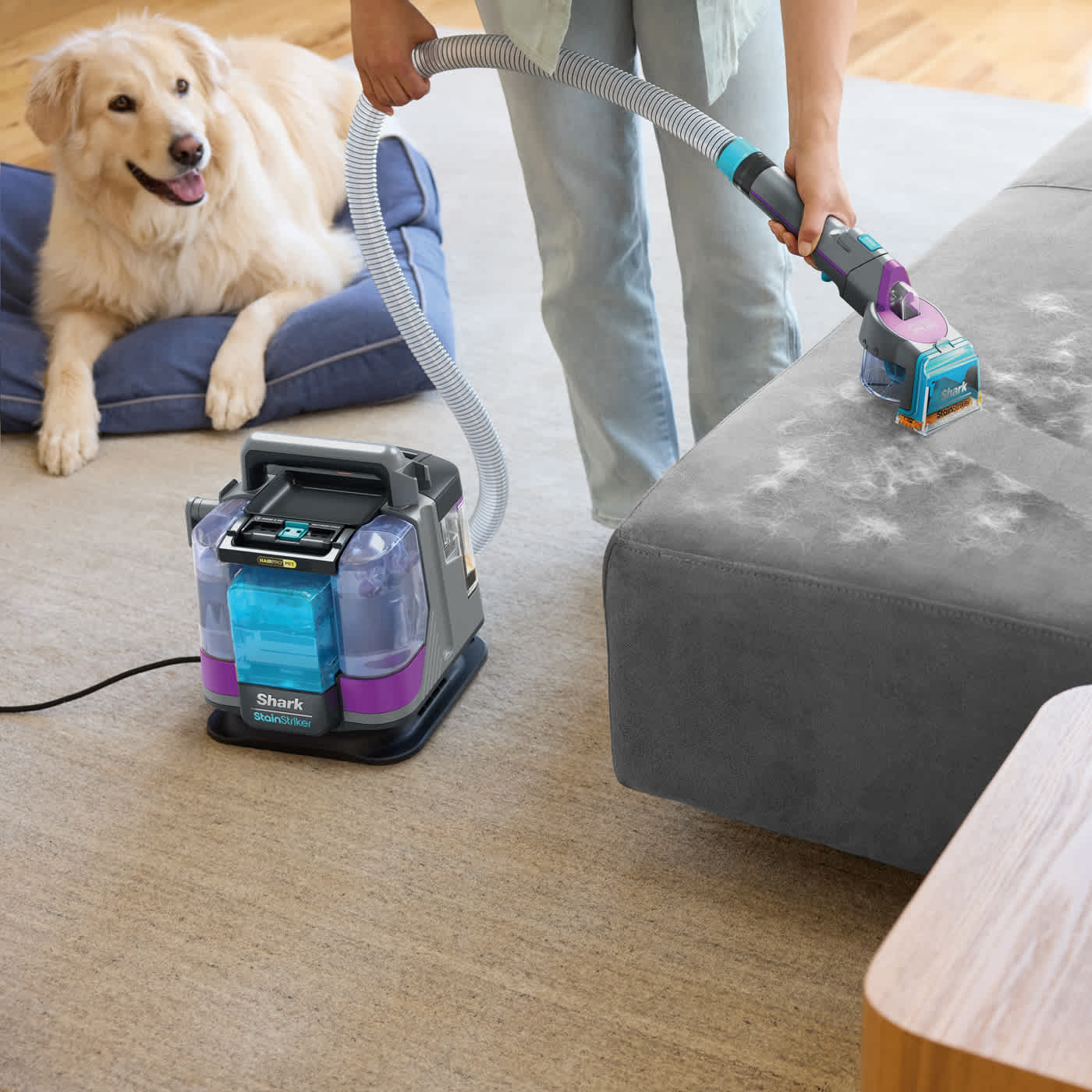 Моющий пылесос для чистки ткани SHARK StainStriker HairPro Pet Stain and Spot Cleaner (PX250EUT)