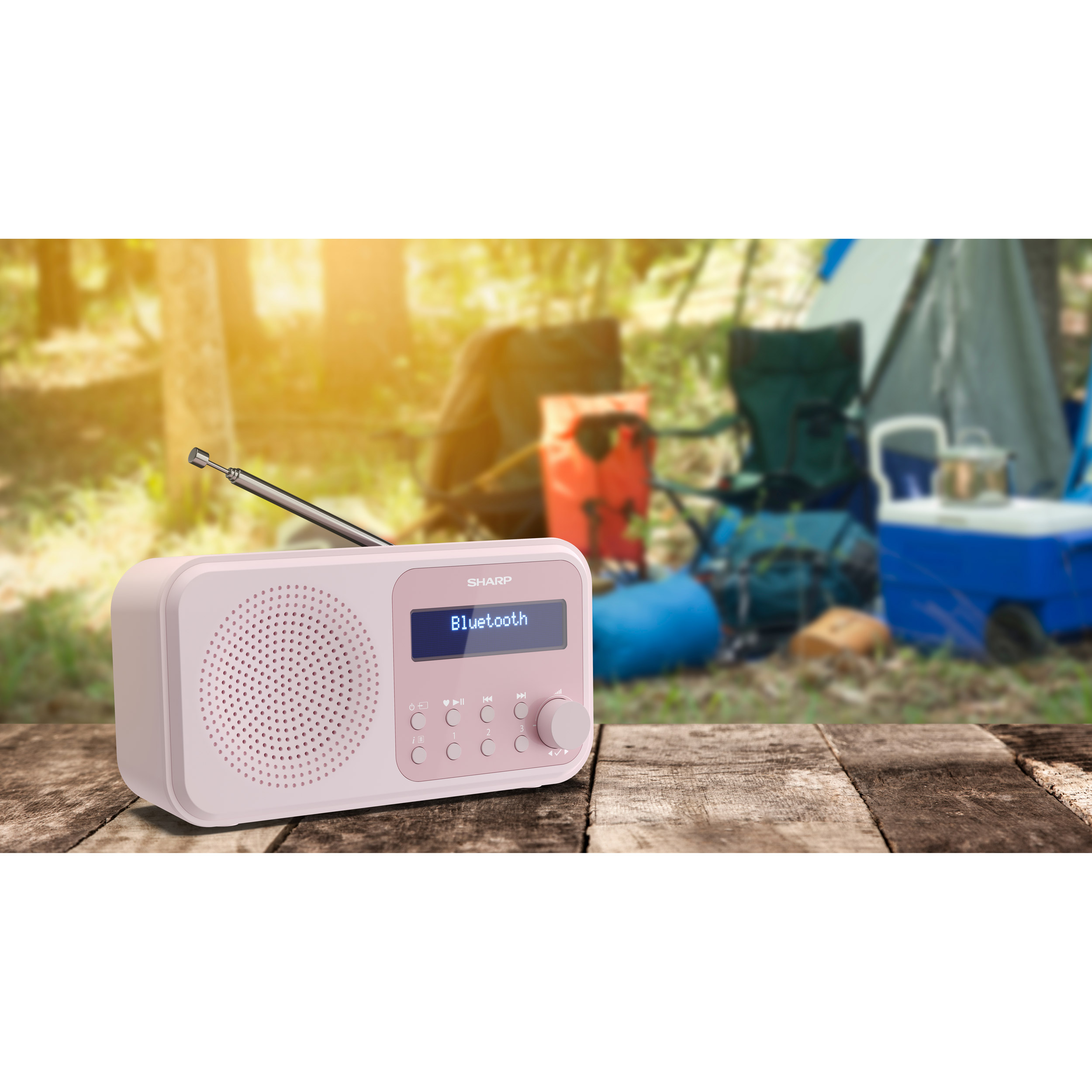 Портативний радіоприймач SHARP DR-P420 Blossom Pink
