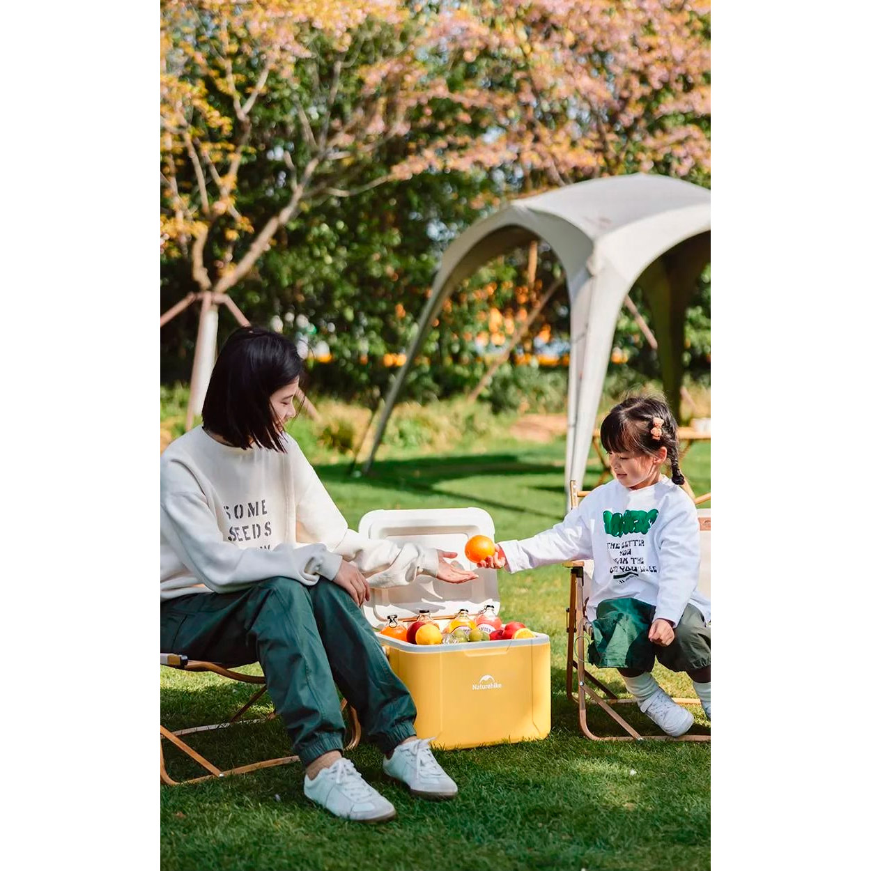 Термобокс NATUREHIKE CNK2450CF012 Cooler Box 18л Yellow (6975641884453)