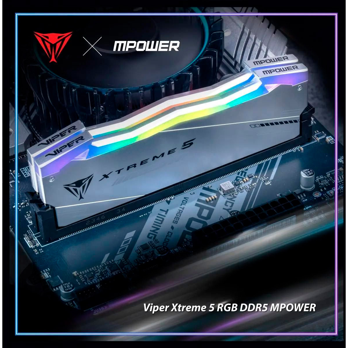 Модуль пам'яті PATRIOT Viper Xtreme 5 RGB MPower DDR5 6400MHz 32GB Kit 2x16GB (PVXR532G64C32KM)