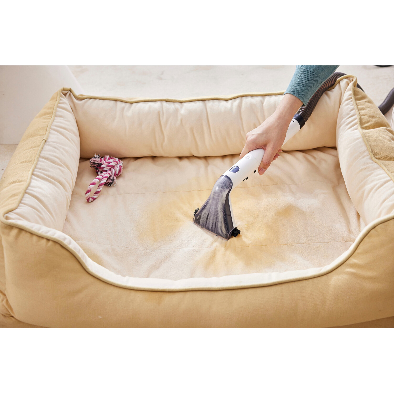 Миючий пилосос для чищення тканини TINECO iCarpet Spot (SC050300DE)