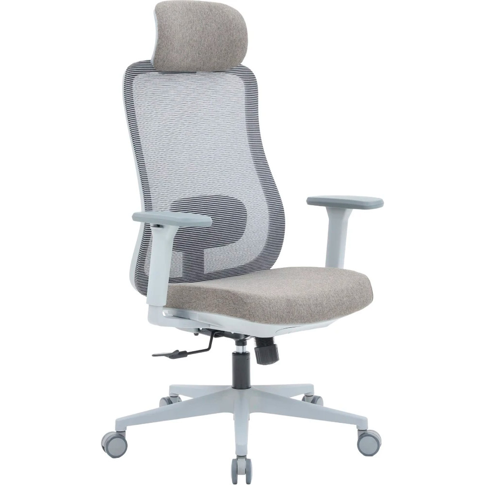 Крісло офісне OFFICEPRO Wave OC599-G-G-G Gray