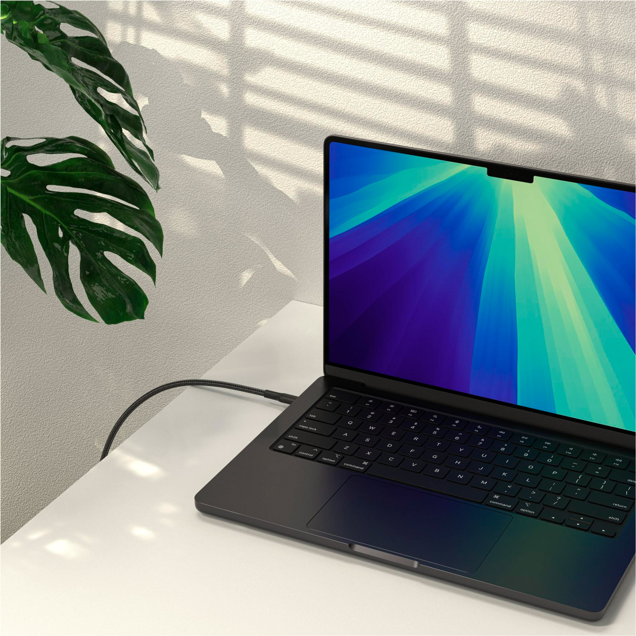 Кабель BELKIN Boost Up Charge Pro Braided USB-C to USB-C 240W 2м Black (CAB025HQ2MBK)