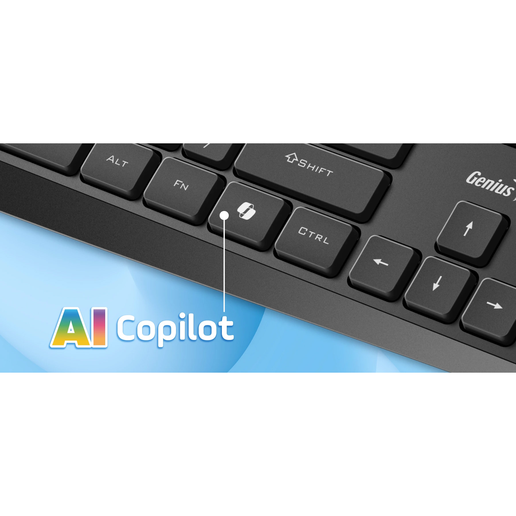 Клавіатура GENIUS KB-117S Black (31300017409)