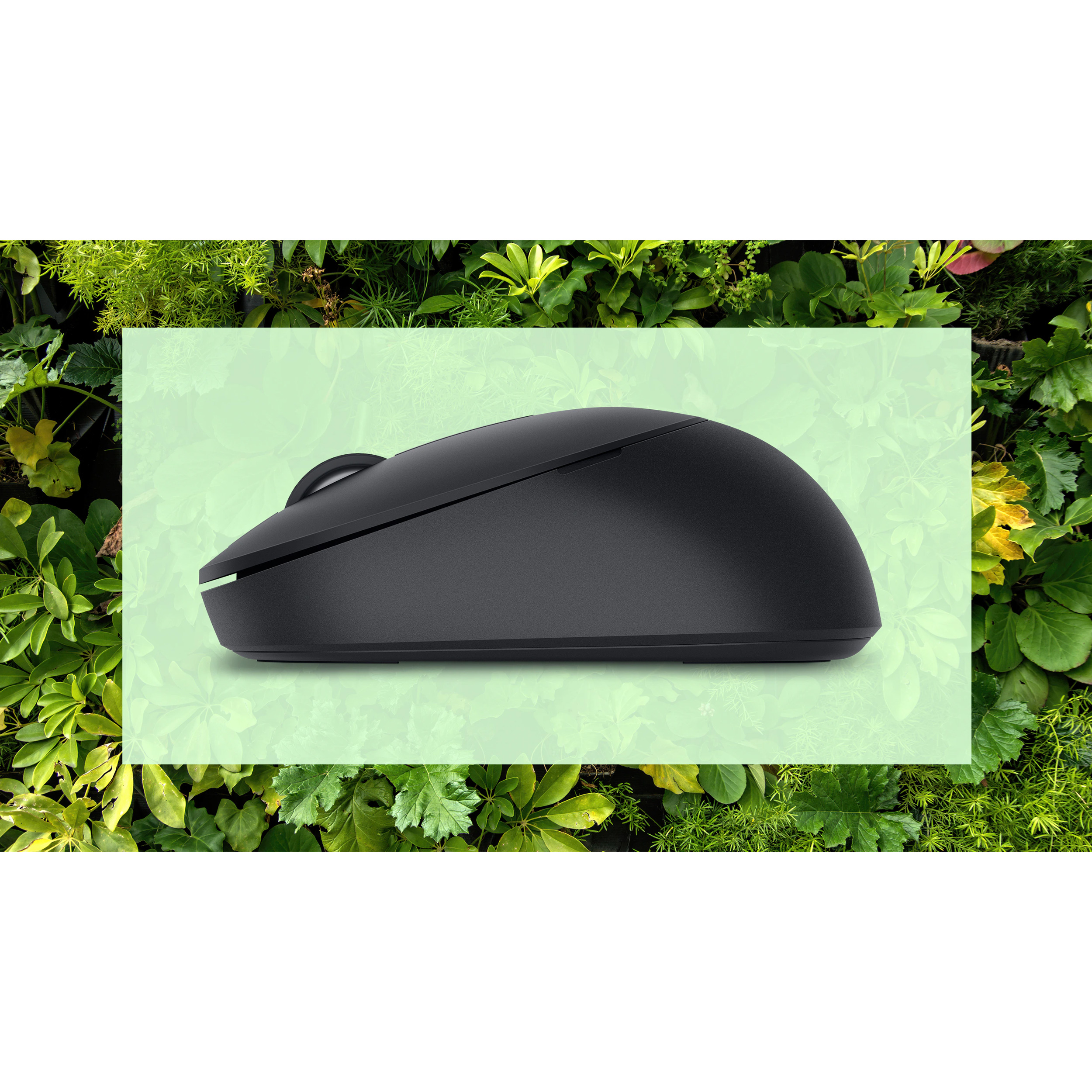 Миша DELL MS355 Black (570-BBJH)