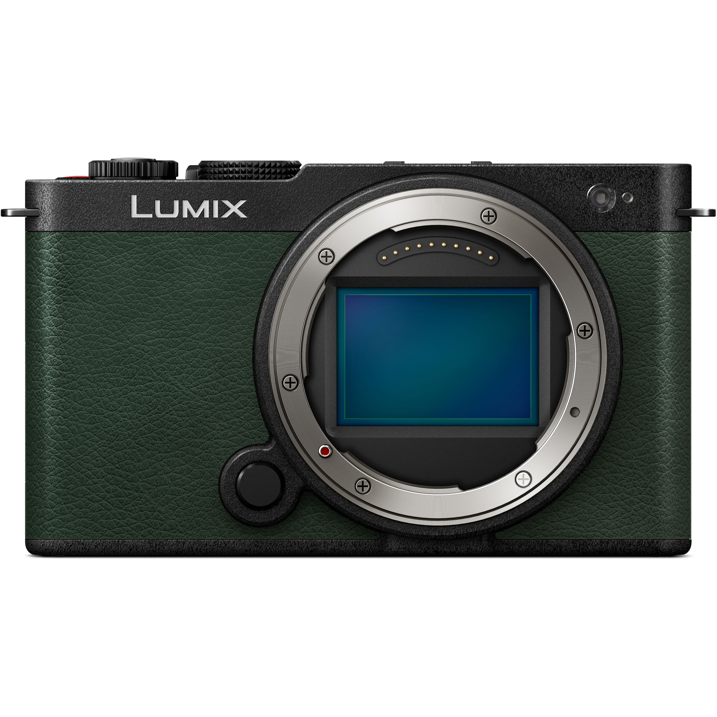 Фотоаппарат PANASONIC Lumix DC-S9 Dark Olive Lumix S 18-40mm f/4.5-6.3 (DC-S9NE-G)