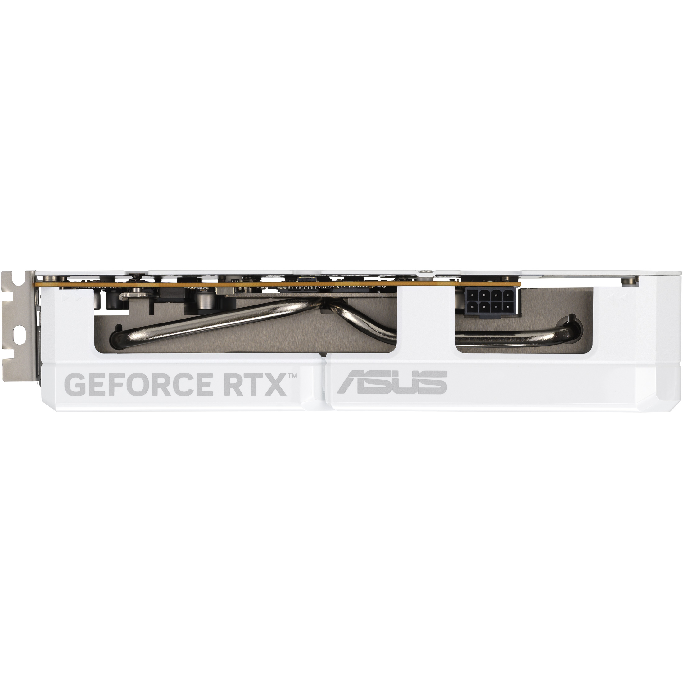 Відеокарта ASUS Dual GeForce RTX 5060 White OC Edition 8GB GDDR7 (DUAL-RTX5060-O8G-WHITE)