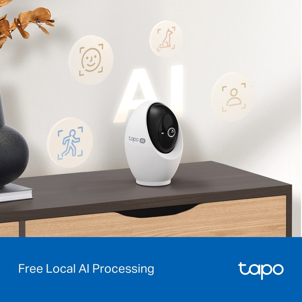 IP-камера TP-LINK TAPO C260