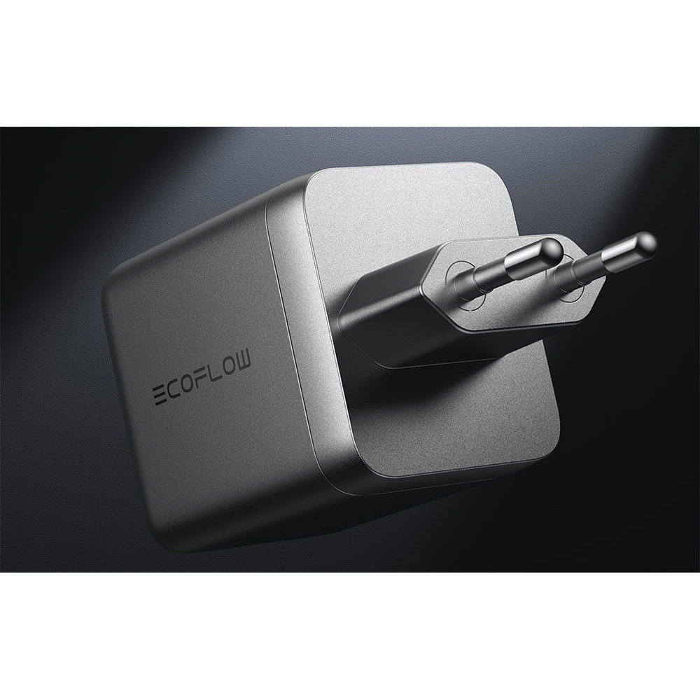 Зарядное устройство ECOFLOW RAPID Pro 100W GaN Charger Silver
