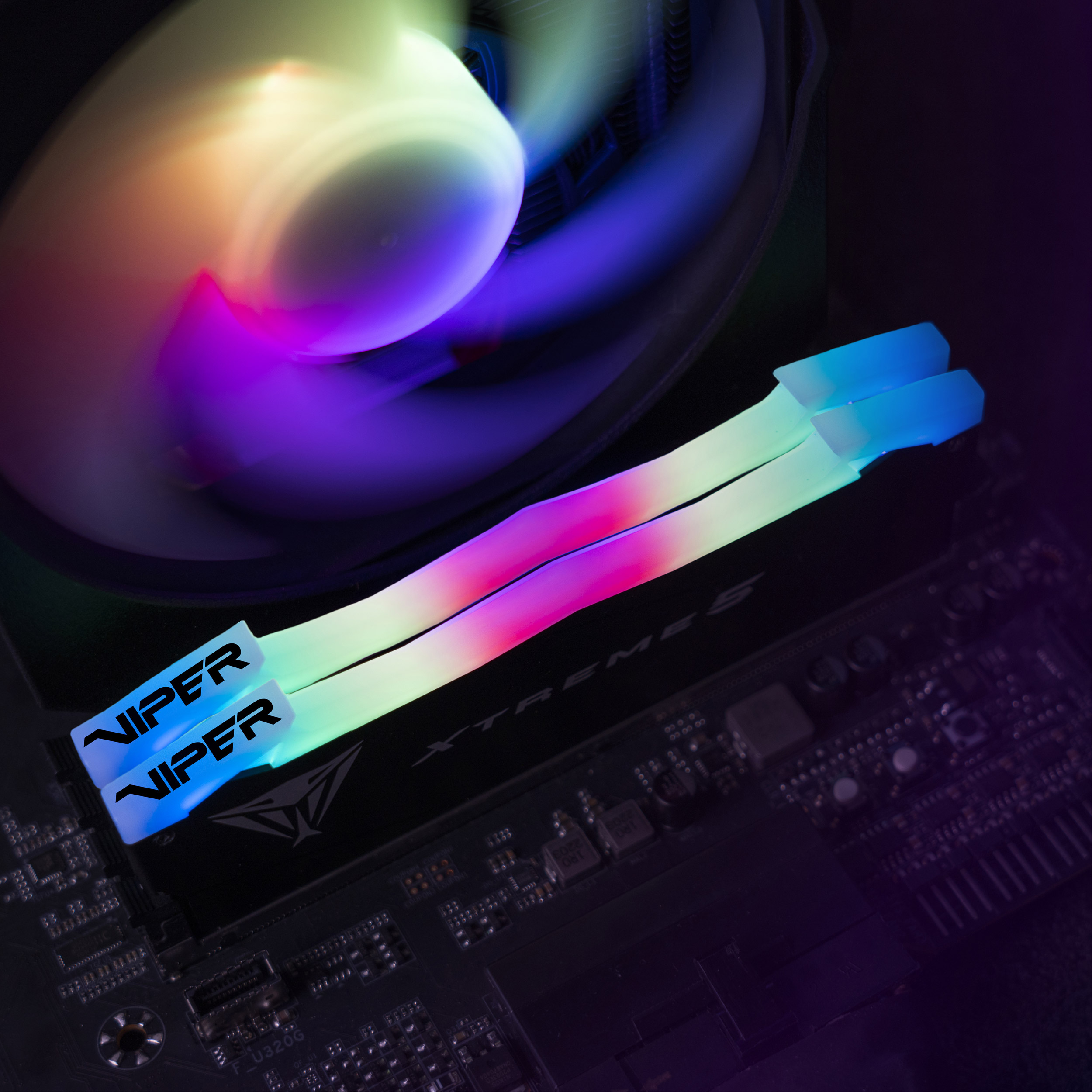 Модуль пам'яті PATRIOT Viper Xtreme 5 DDR5 7000MHz 32GB Kit 2x16GB (PVX532G70C32K)