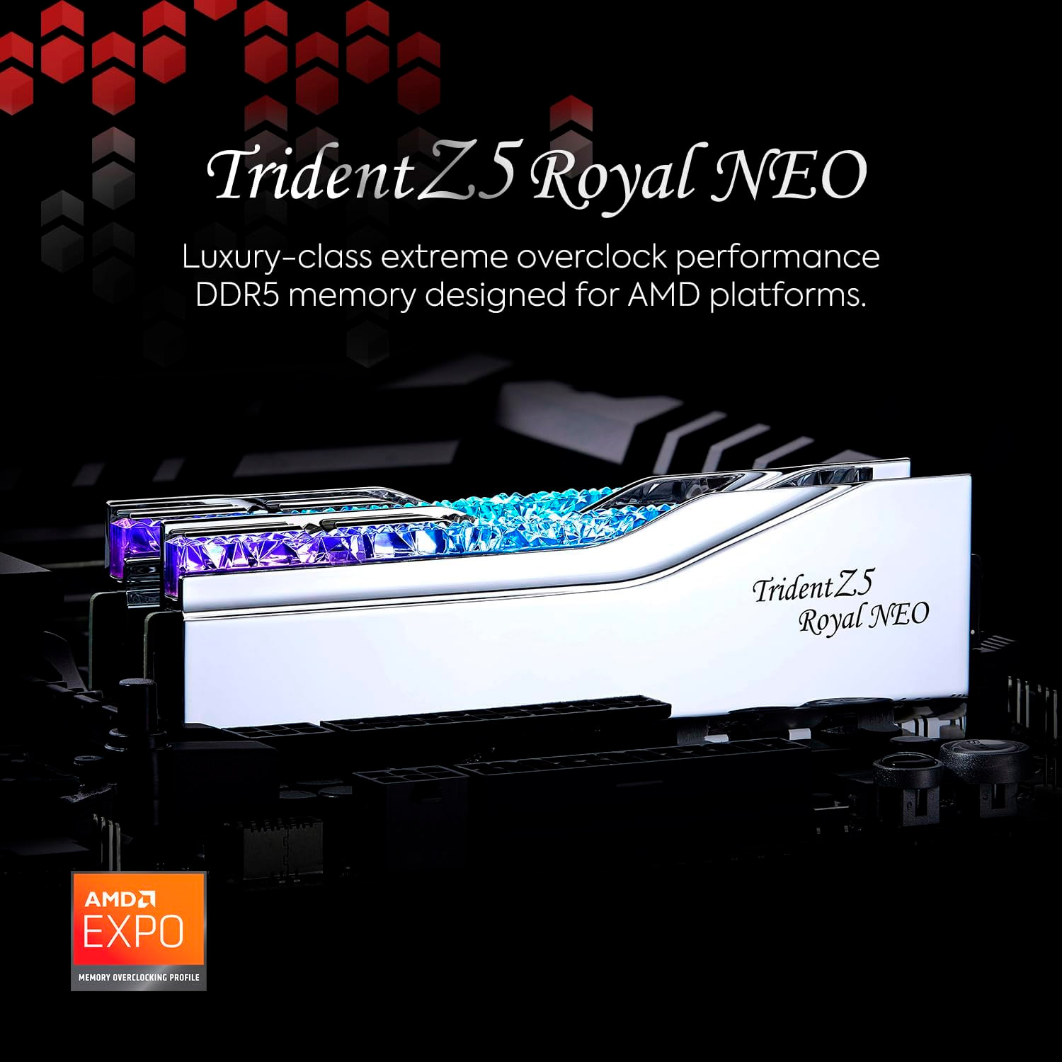 Модуль пам'яті G.SKILL Trident Z5 Royal Neo DDR5 6000MHz 64GB Kit 2x32GB Silver (F5-6000J2636H32GX2-TR5NS)