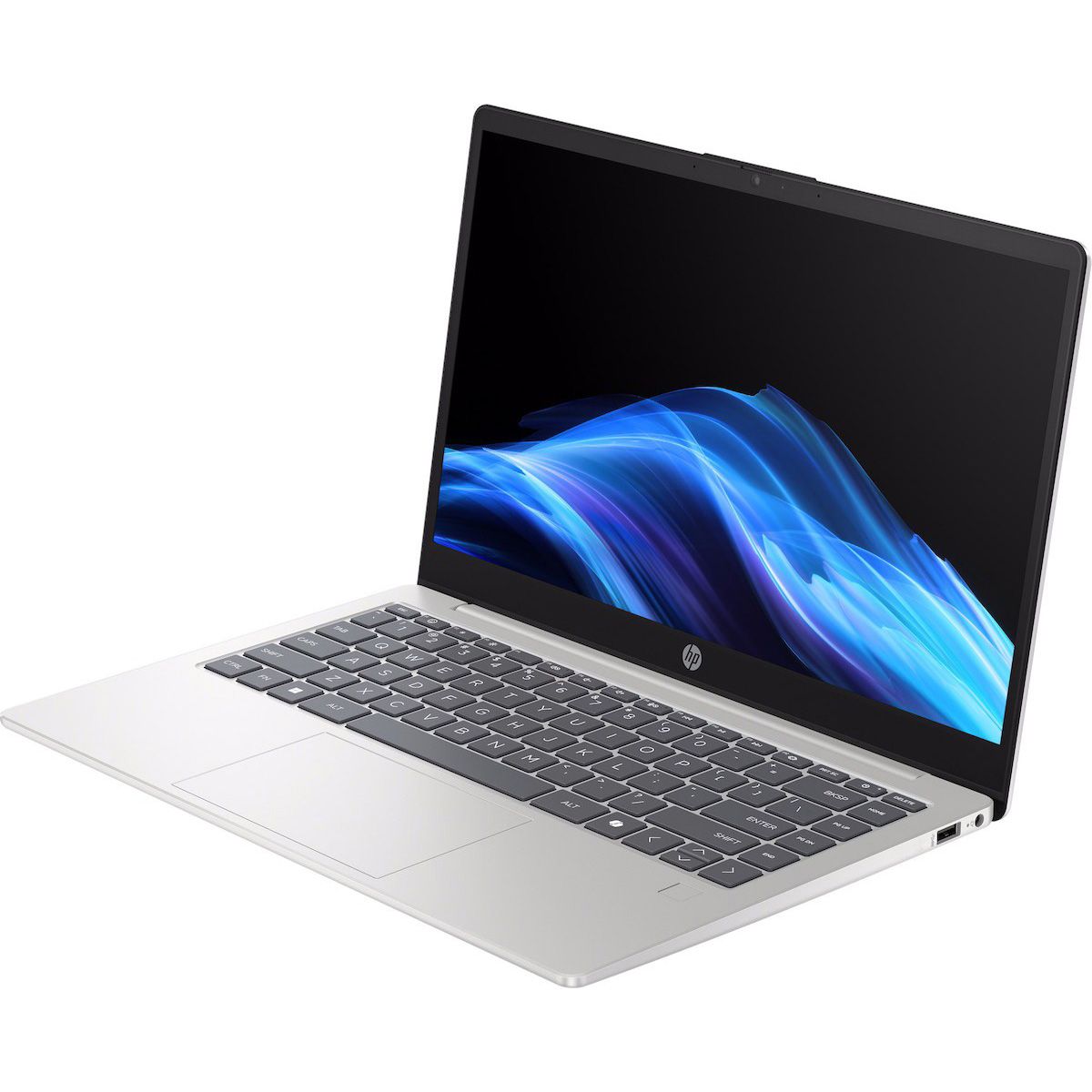 Ноутбук HP 14-hc0004ua Natural Silver (C3UL9EA)