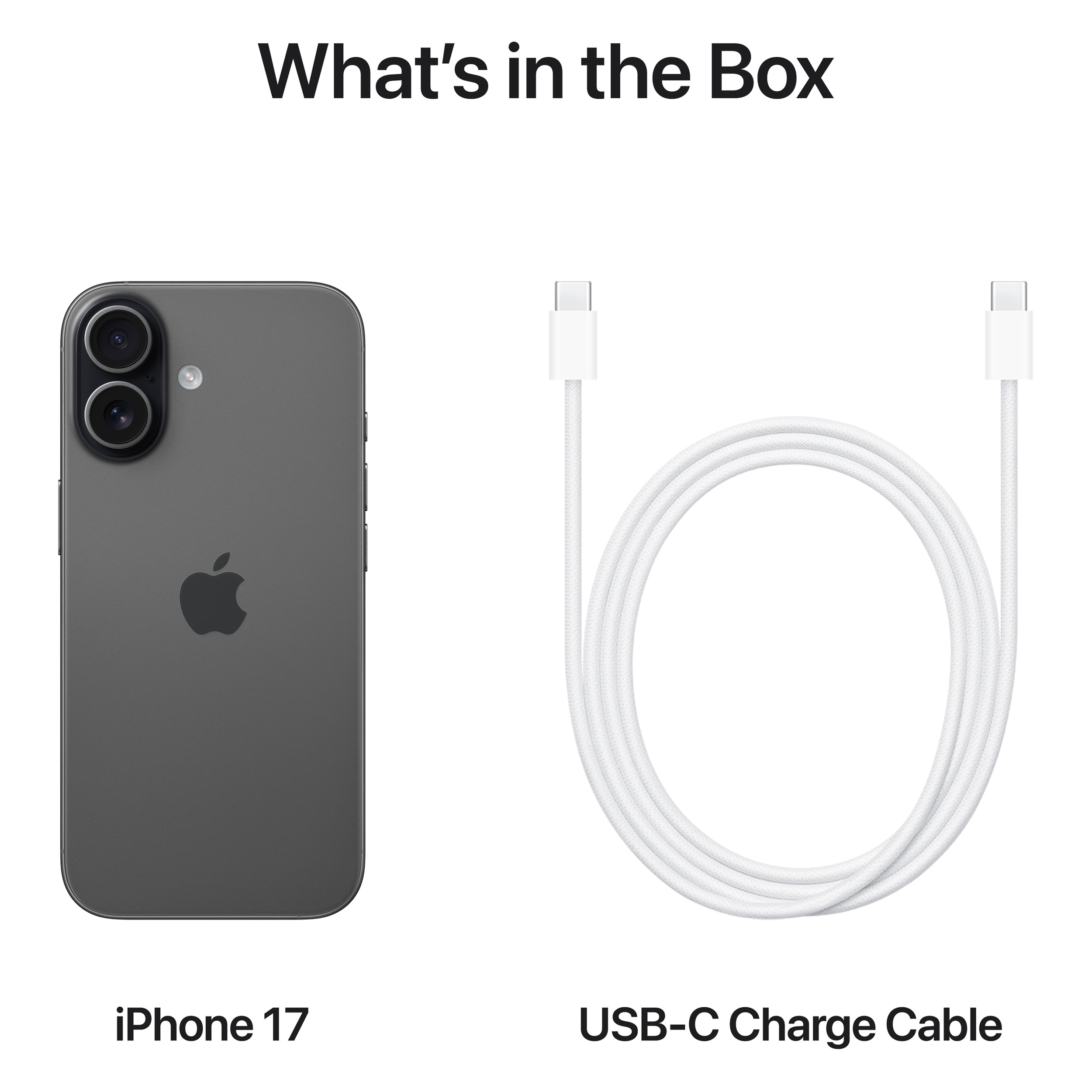 Смартфон APPLE iPhone 17 256GB Black (MG6J4AF/A)