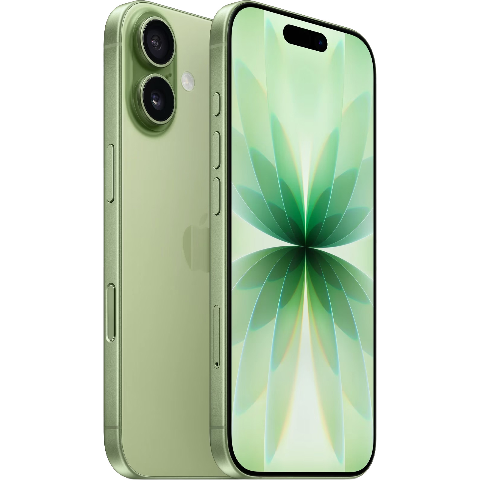 Смартфон APPLE iPhone 17 256GB Sage (MG6N4AF/A)